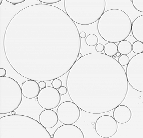 2D emulsion microscopy image