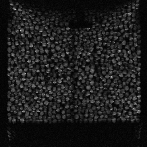 MRI movie showing granular material (poppy seeds) being displaced by a penetrating object