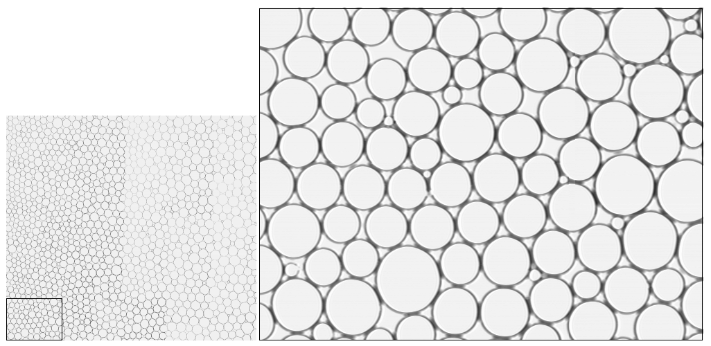 Merged emulsion images showing force network