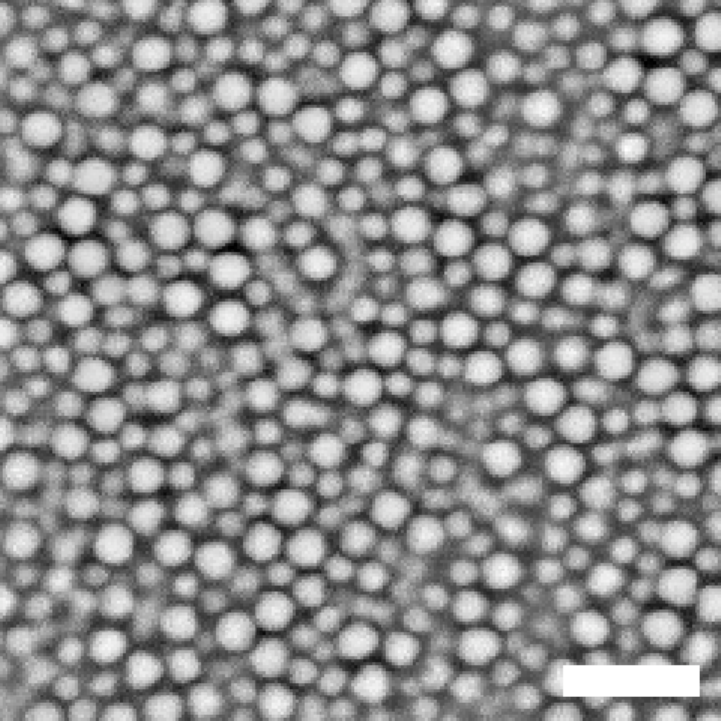Confocal microscope image of binary colloidal mixture