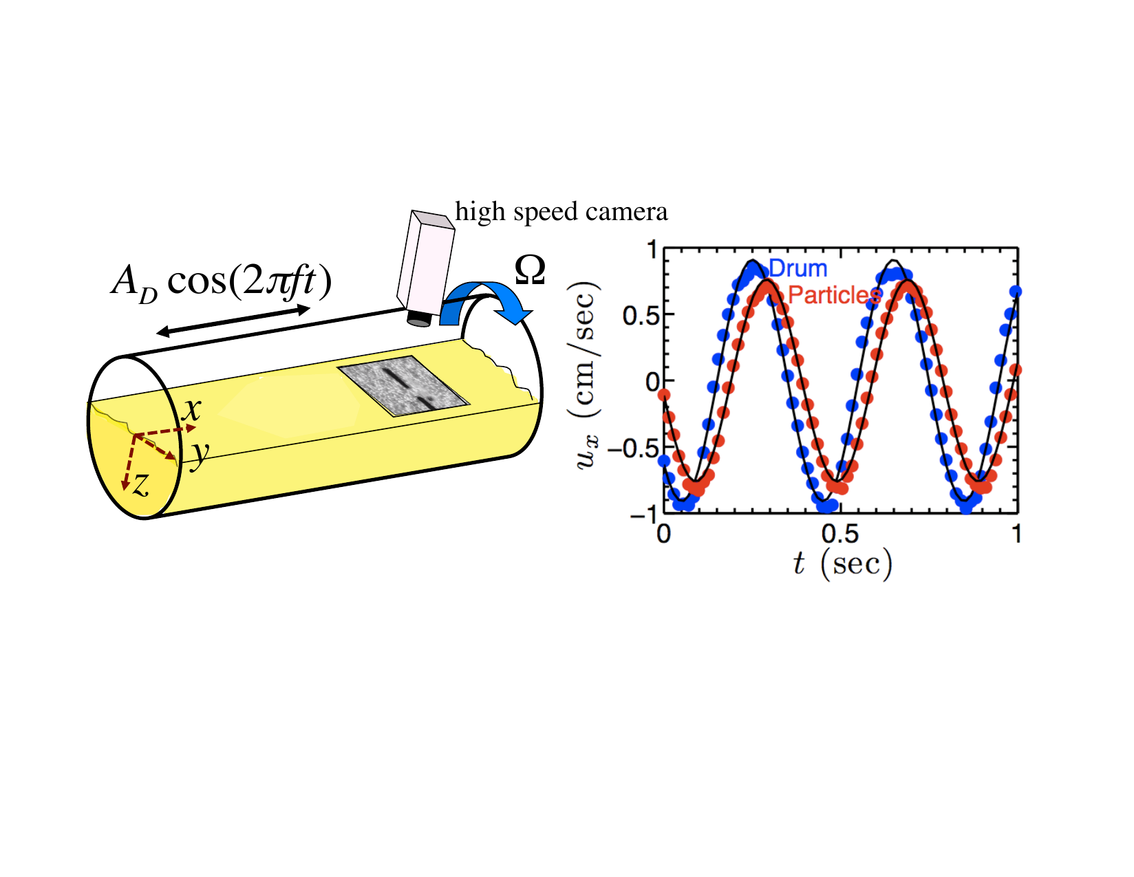 Rotating drum apparatus with oscillatory secondary forcing