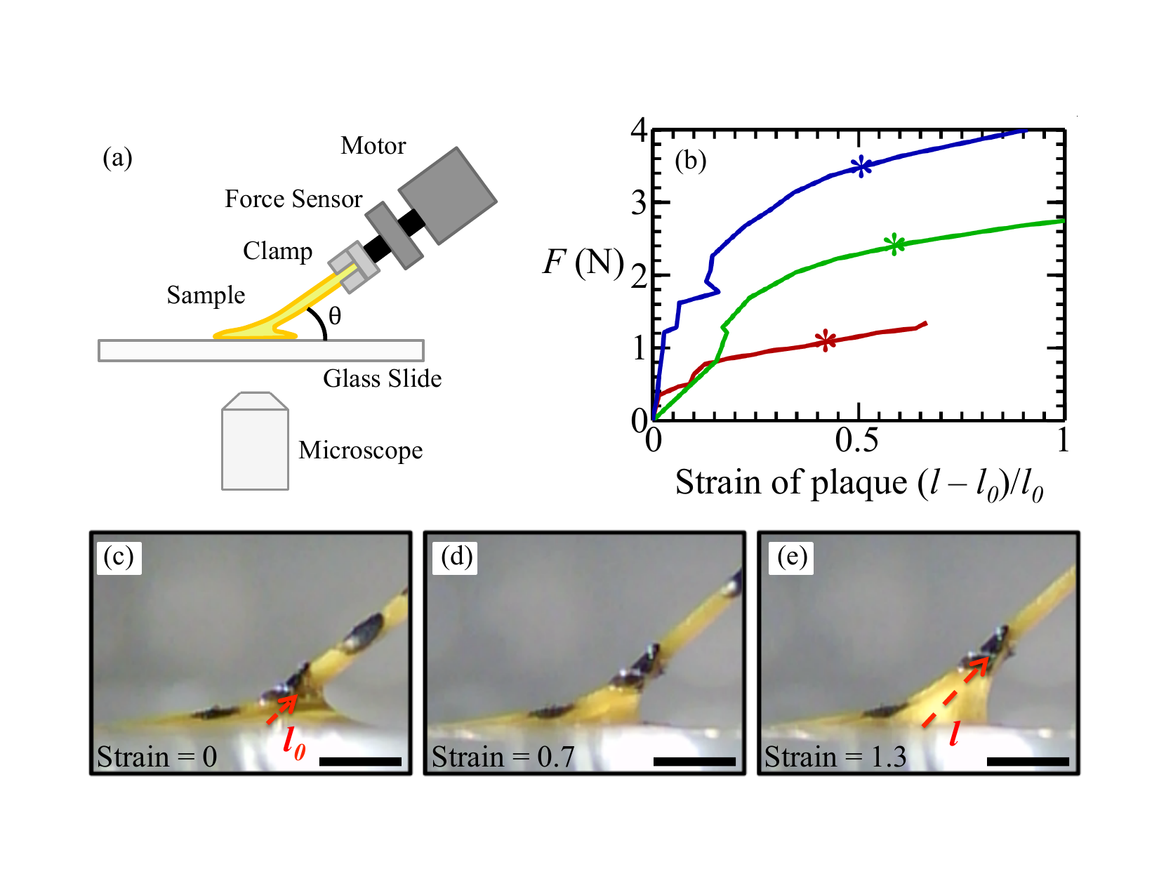 Custom load frame and force-deformation curves