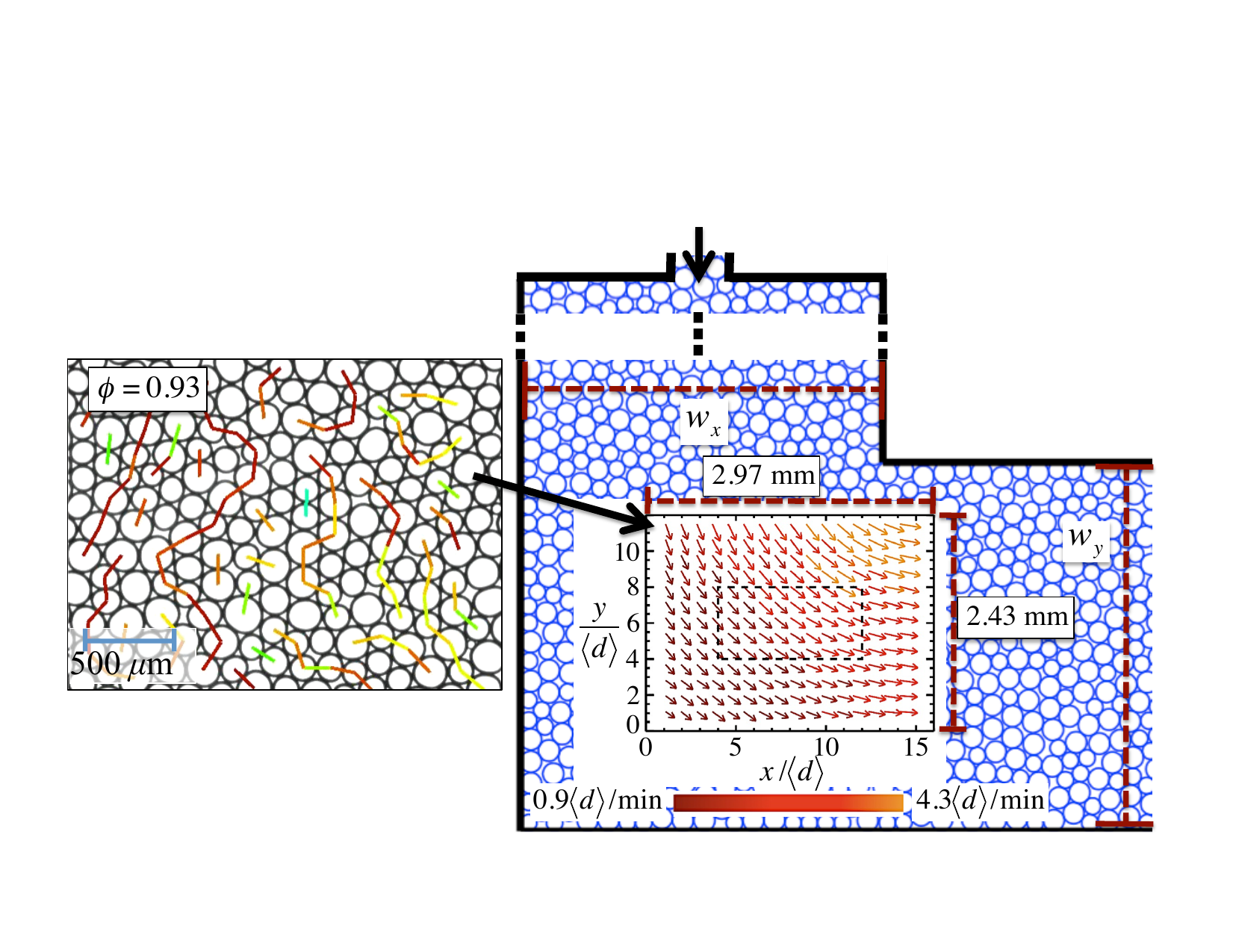 Flow field with force chains