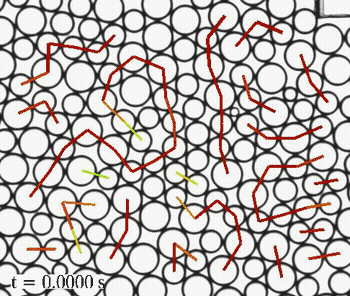 Force chain evolution showing stress redistribution around T1 events